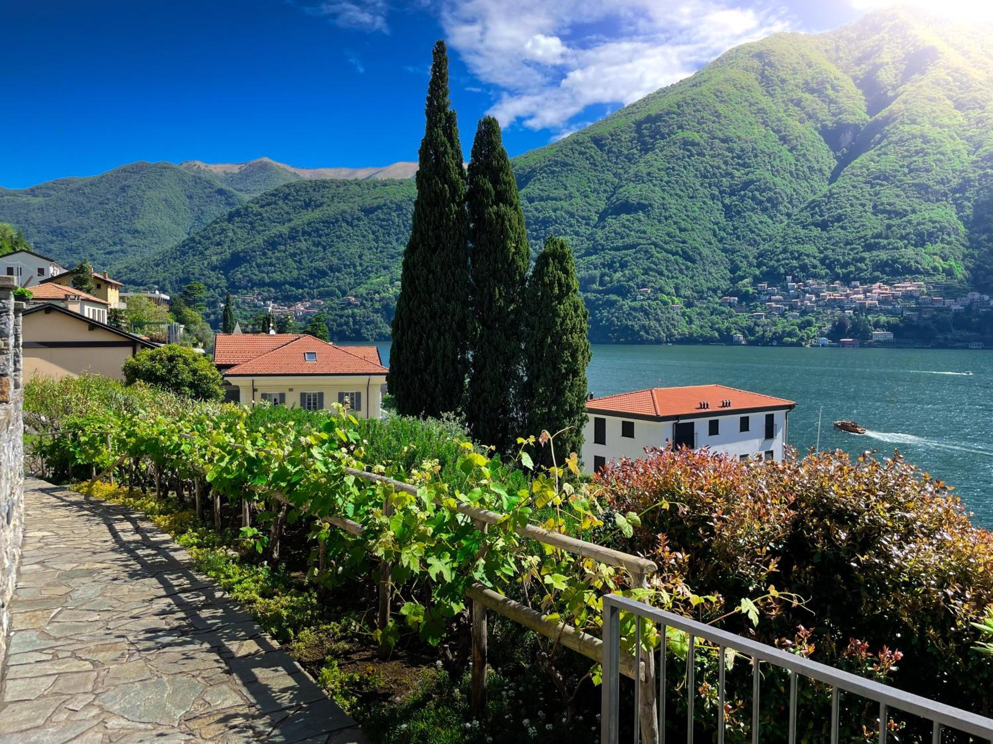 Villa Luminosa Laglio - Private Parking, Garden Zewnętrze zdjęcie